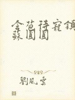 含苞待宠镇国公苏圆圆