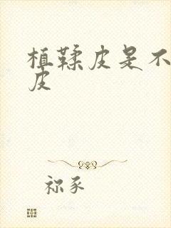 植鞣皮是不是牛皮