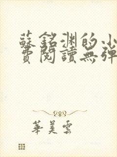 苏铭渊的小说免费阅读无弹窗