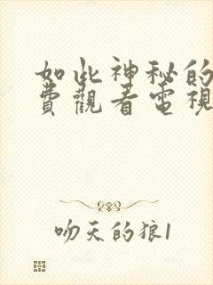 如此神秘的他免费观看电视剧全集