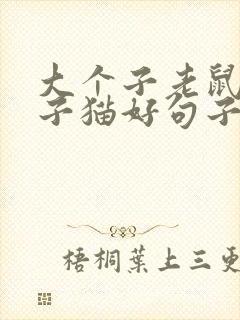 大个子老鼠小个子猫好句子