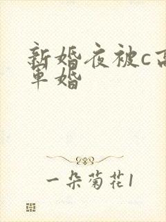 新婚夜被c高h军婚