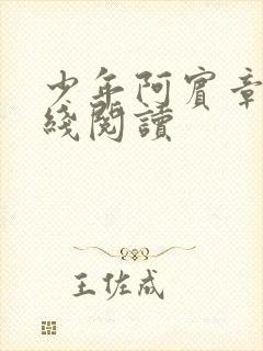 少年阿宾章节在线阅读