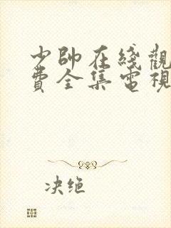 少帅在线观看免费全集电视剧