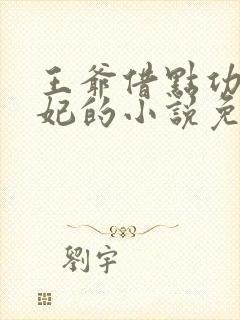 王爷借点功德王妃的小说免费阅读