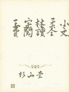 王宇林柔小说免费阅读全文最新章节