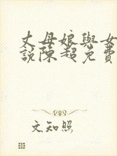 丈母娘与女婿小说陈超免费阅读