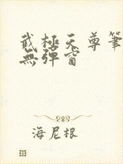 武极天尊笔趣阁无弹窗