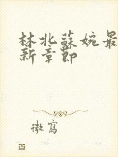 林北苏婉最新更新章节封面