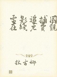 电影追捕国语版在线免费观看