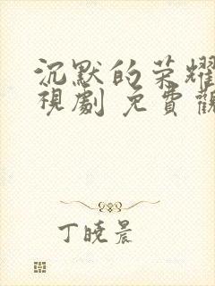 沉默的荣耀 电视剧 免费观看