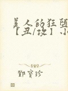 美人的狂堕遭遇【丑/攻】小说