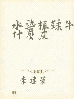 水染植鞣牛皮是什么皮封面