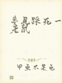 梦见踩死一只大老鼠