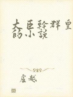 大臣干群皇太后的小说