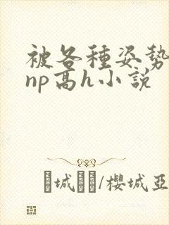 被各种姿势玩弄np高h小说封面