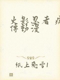 火影忍者 疾风传动漫