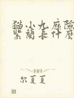 猫小九历险记中紫兰长什么样