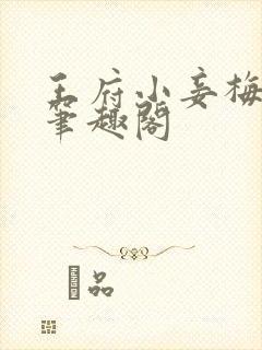 王府小妾梅素素笔趣阁