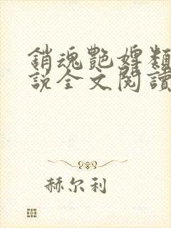 销魂艳婢类似小说全文阅读封面