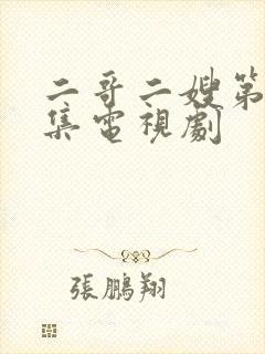 二哥二嫂第40集电视剧封面