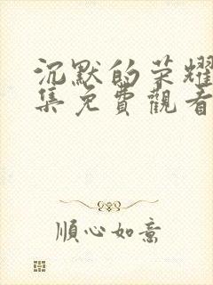 沉默的荣耀24集免费观看