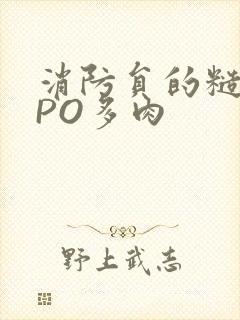 消防员的糙汉文PO多肉封面