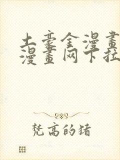 土豪金漫画免费漫画网下拉式