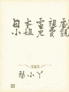 日本电视剧空中小姐免费观看