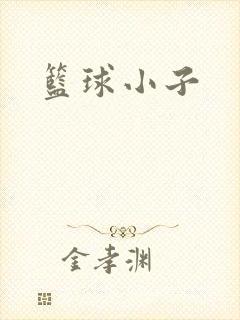 篮球小子