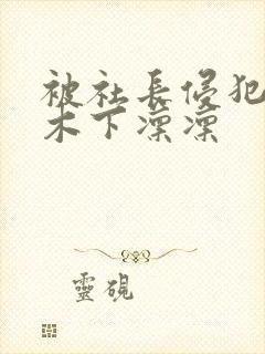 被社长侵犯人妻木下凛凛