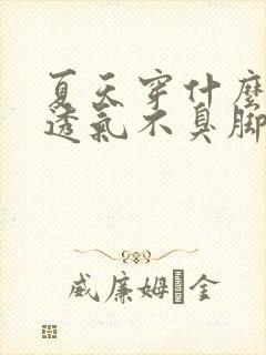 夏天穿什么袜子透气不臭脚封面