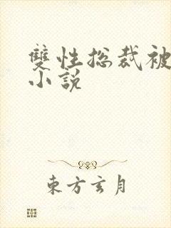 双性总裁被调教小说