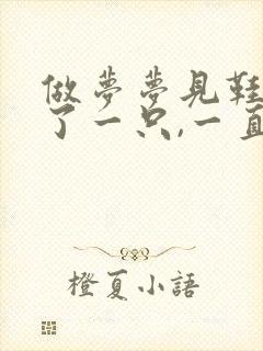 做梦梦见鞋子丢了一只,一直在找鞋封面