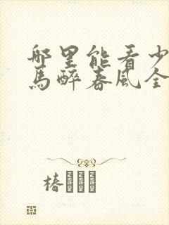 哪里能看少年白马醉春风全集封面