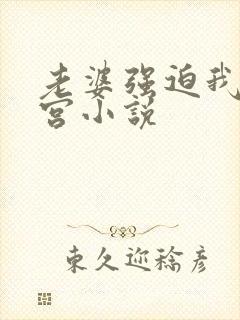 老婆强迫我开后宫小说