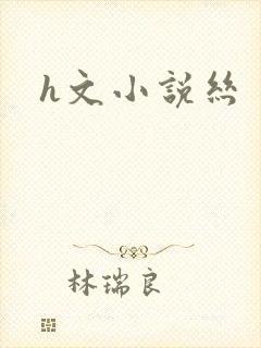 h文小说丝