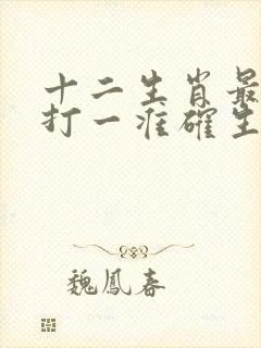 十二生肖最实际打一准确生肖