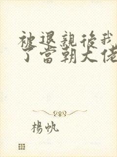 被退亲后我嫁给了当朝大佬 小说