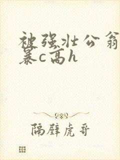 被强壮公翁h粗暴c高h