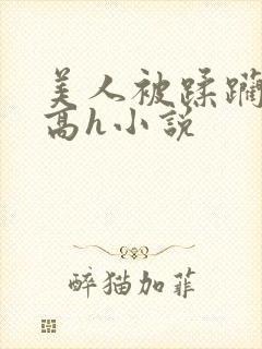 美人被蹂躏古代高h小说