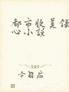 都市收美录宁素心小说封面