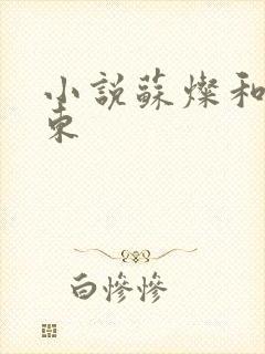 小说苏灿和陆战东