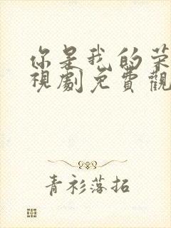 你是我的荣耀电视剧免费观看下载