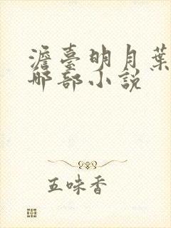 澹台明月叶玄是哪部小说封面