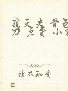 窥天光 骨色弯刀 免费 小说