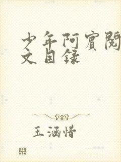 少年阿宾阅读全文目录