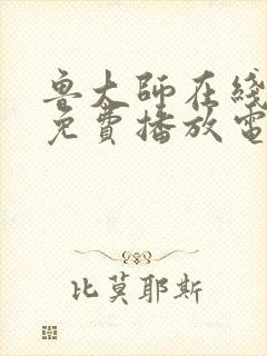 鲁大师在线观看免费播放电视剧全部