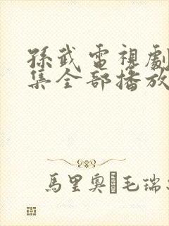 孙武电视剧40集全部播放封面