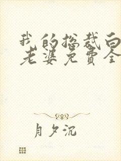 我的总裁白富美老婆免费全文阅读封面